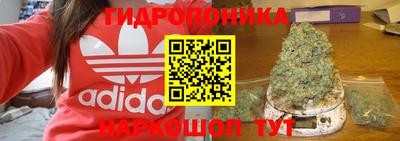 крисы Малоярославец