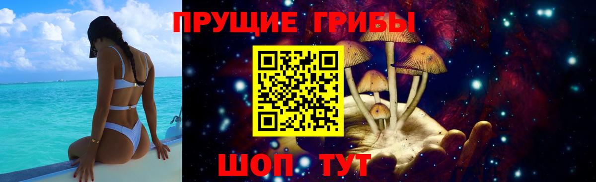 Галлюциногенные грибы Psilocybe Хабаровск